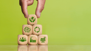 Branding Sostenibilidad