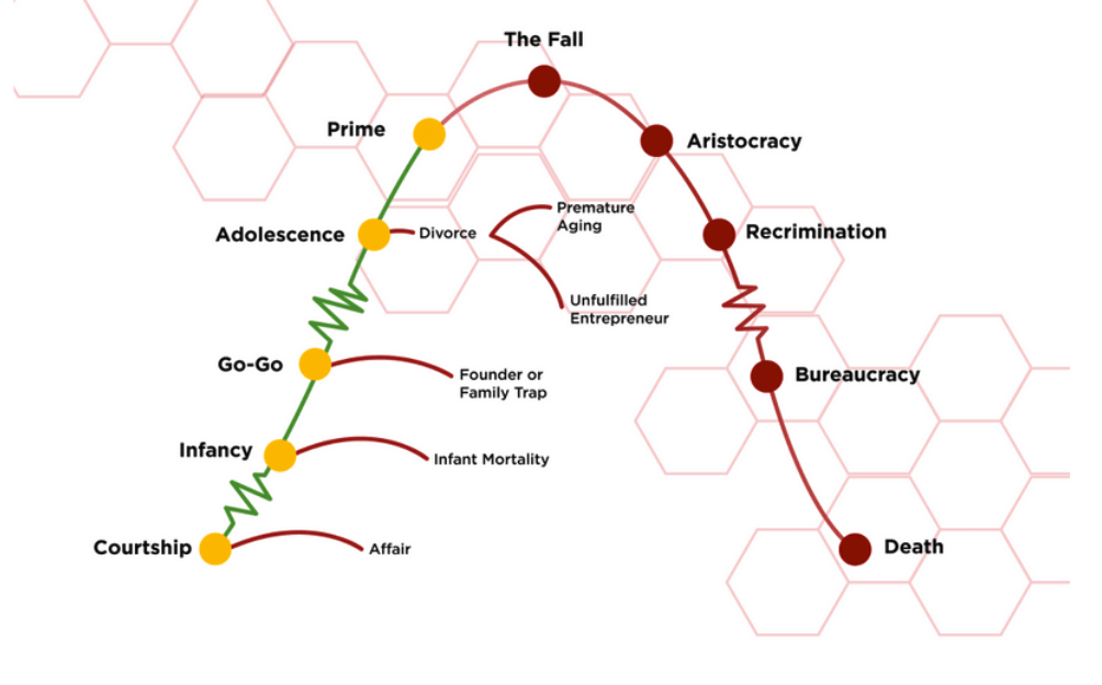 crecimiento empresa Adizes ciclo de vida